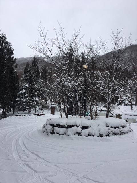 Wadano Forest Hotel & Apartments Hakuba Bagian luar foto